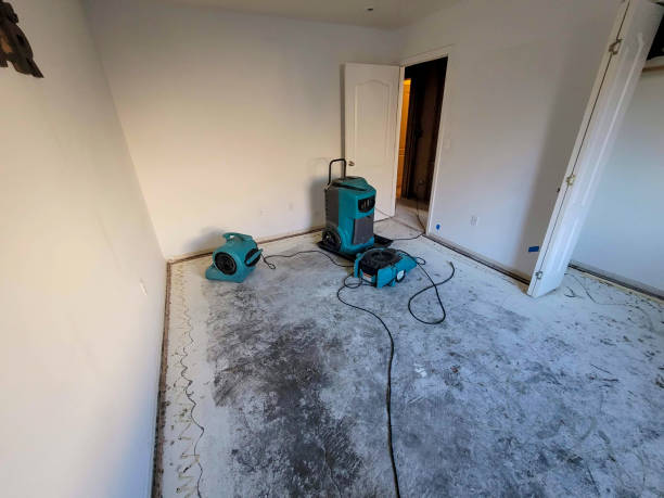  Alto, TX Water damage restoration Pros