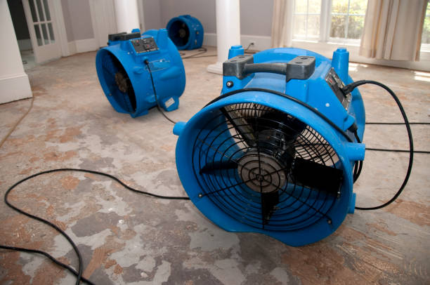 Best Water damage restoration services  in Alto, TX