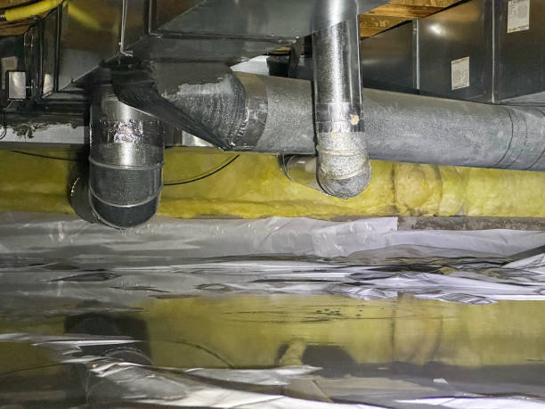 Best Basement water damage restoration  in Alto, TX