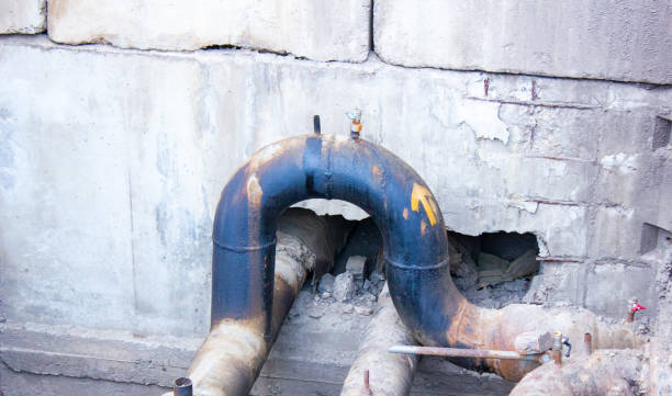 Best Flood damage cleanup  in Alto, TX