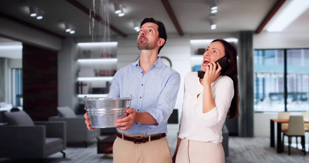 Best 24-hour water damage restoration  in Alto, TX